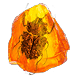 Encrusted Fossil