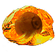 Hollow Fossil